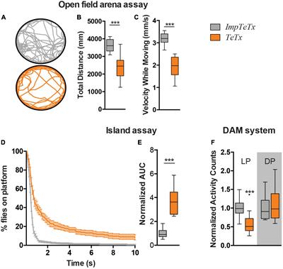 Ataxia-associated DNA repair genes protect the Drosophila mushroom body and locomotor function against glutamate signaling-associated damage